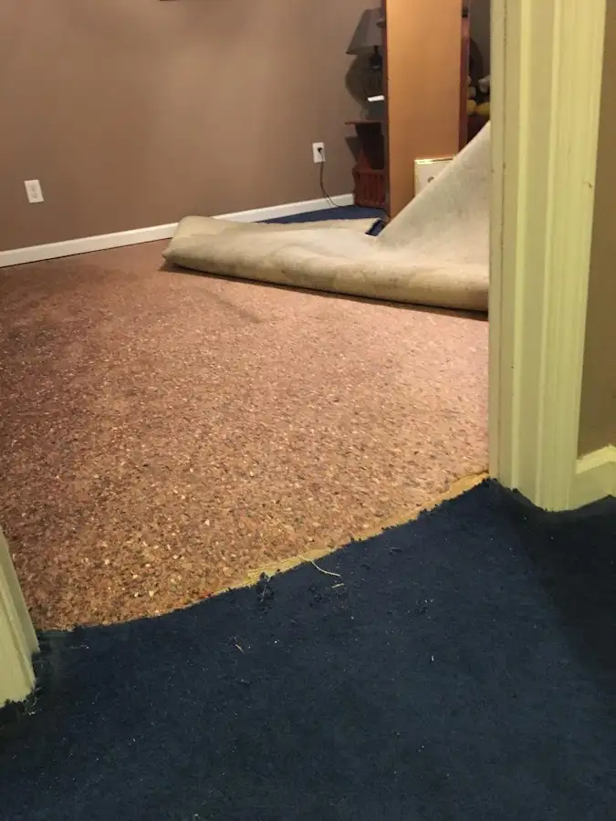 Carpet pad removal revealing water damage during Drying & Dehumidification in Forsyth