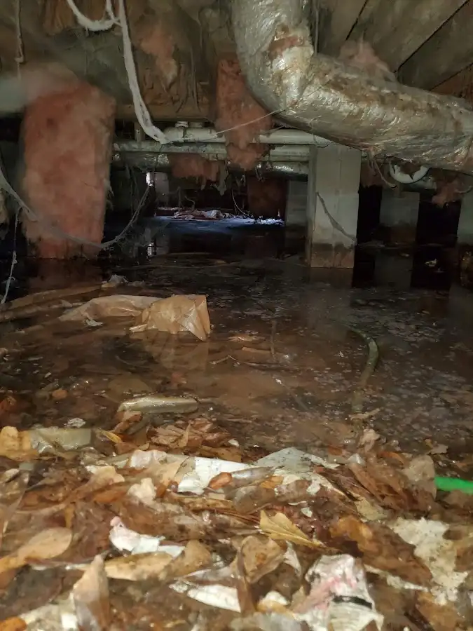 Crawl space flood assessment for Leak Detection & Repair in Forsyth